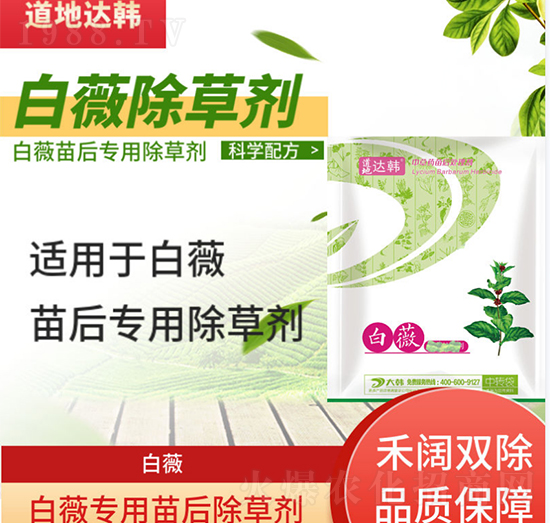 ��ޱ���݄�-��ޱ���-��ޱ��(zhu��n)��-���n