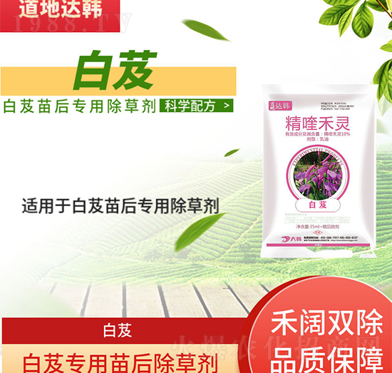 ��ܸ���݄�-��ܸ���-��ܸ����-���n