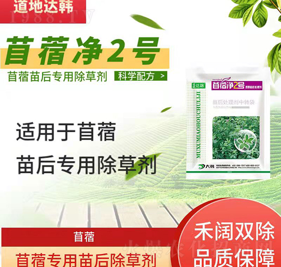 ��ޣ���݄�-��ޣ���-��ޣ����-���n