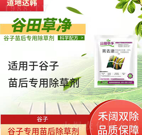 ���ӳ��݄�-�������-���ӌ�(zhu��n)��-����݃�-���n