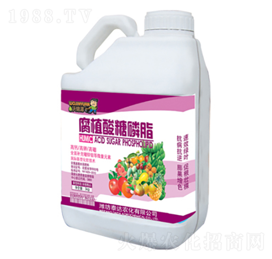 ��ֲ������֬-̩�_(d��)�r(n��ng)��