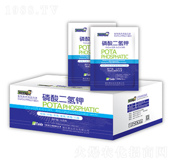 500g��������-̩�_�r(n��ng)��