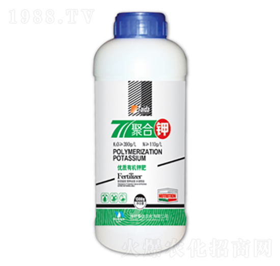 �ۺ��-̩�_�r(n��ng)��