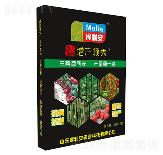 �����ѹ����a�I��-Ħ����