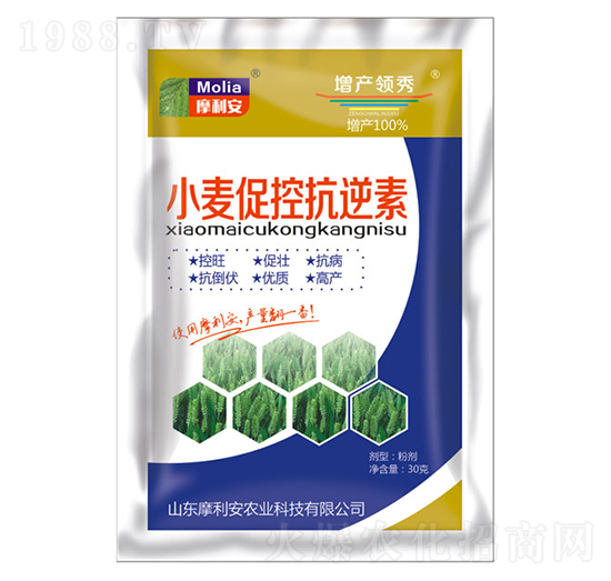 С���ٿؿ�����-Ħ����