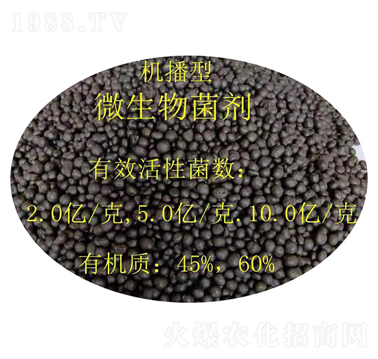 �C����΢�������-�𝙰l(f��)����