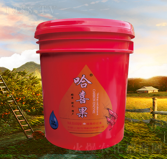 ̼ø�r�t��-��ϲ��-�r(n��ng)��