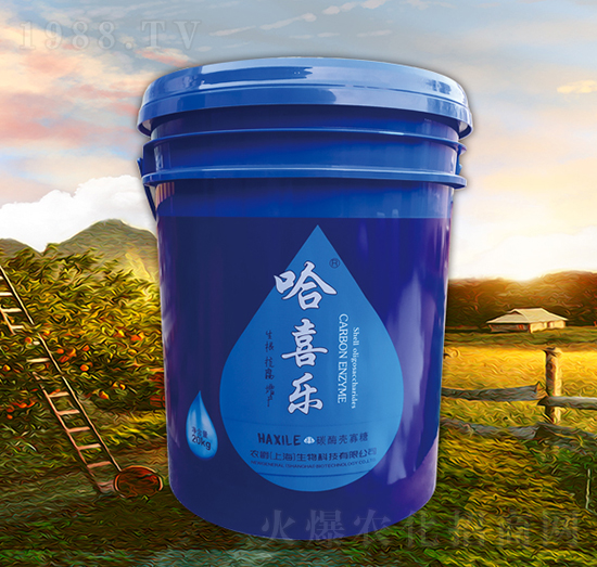 ̼ø������-��ϲ��(l��)-�r(n��ng)��