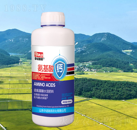 �������}-�A�Z��