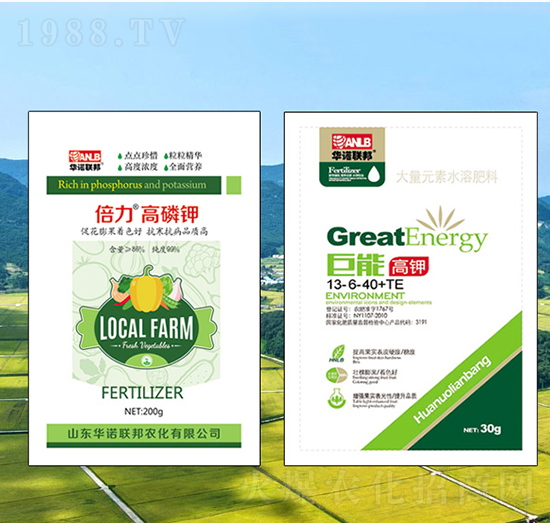 ���������+���ܸ��-�A�Z(li��n)��