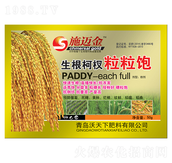 ������������-ʩ�~��-������