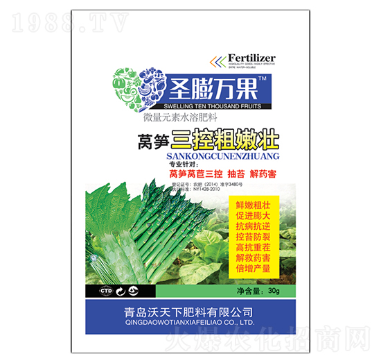 �n�S���ش��ۉ�-ʥ���f��-������