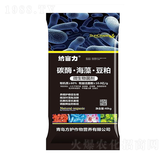 ̼ø�����塤����-�{����-���o(h��)