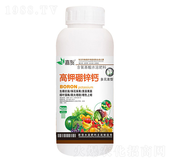 ������\�}-ؐ������