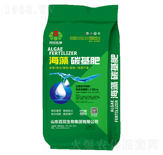 2�|���塤̼����-�ٻ�����