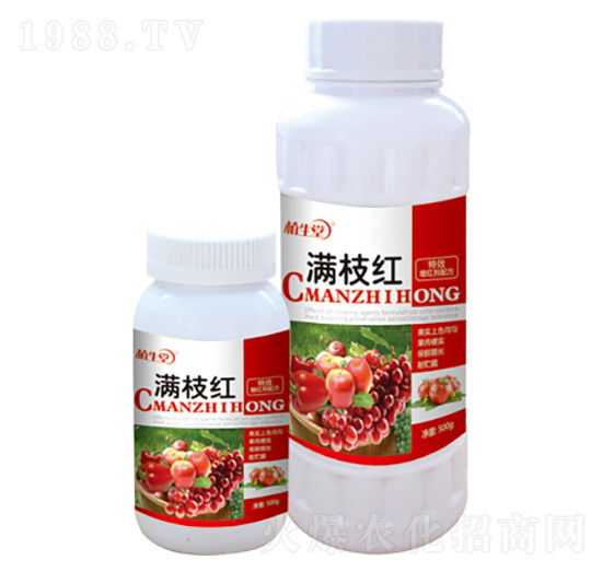 �M֦�t ֲ���� �R������