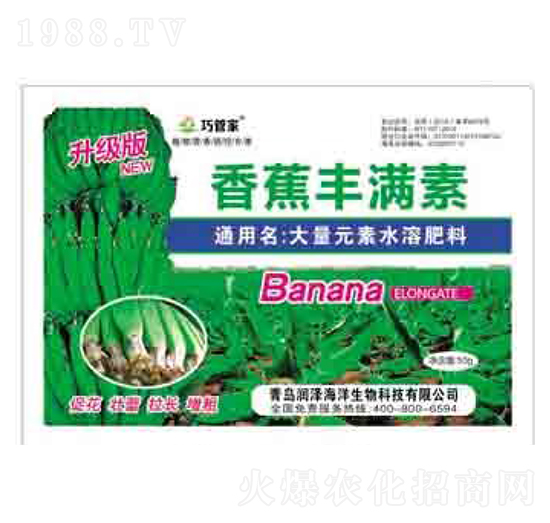 50g�㽶�S�M�� �ɹܼ� ����