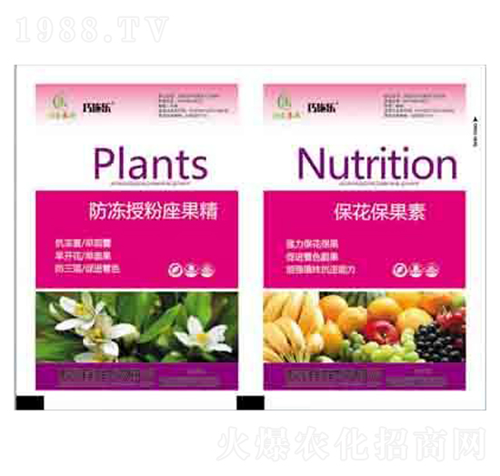 �����ڷ�������+���������� ����