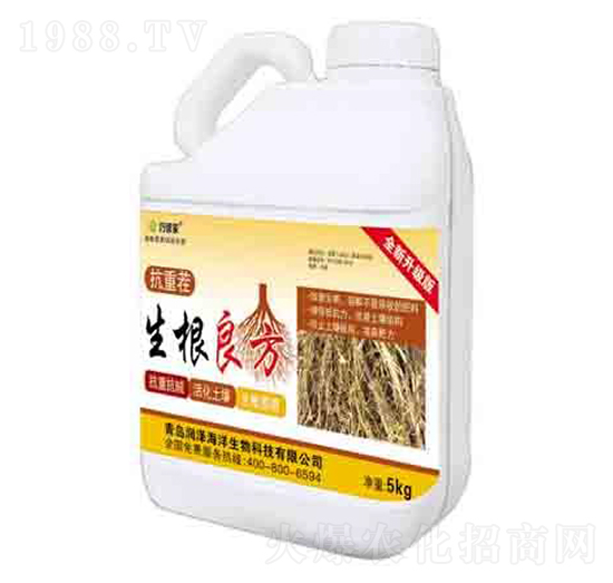 �������� ��(r��n)��