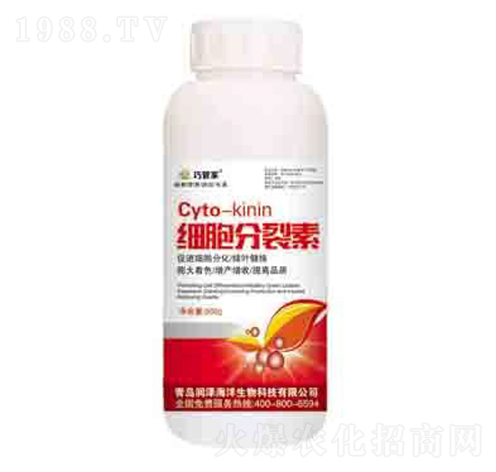 ��(x��)�������� ��(r��n)��