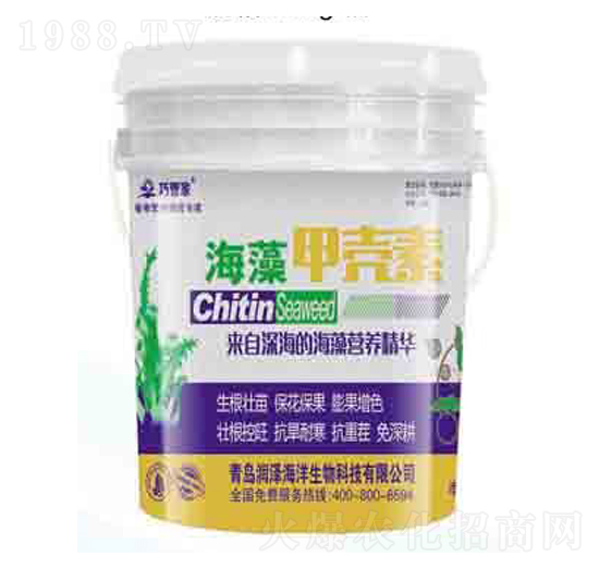 ����ך��� �ɹܼ� ����