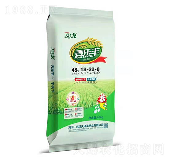 �ͺϷ���18-22-8 �����S �����