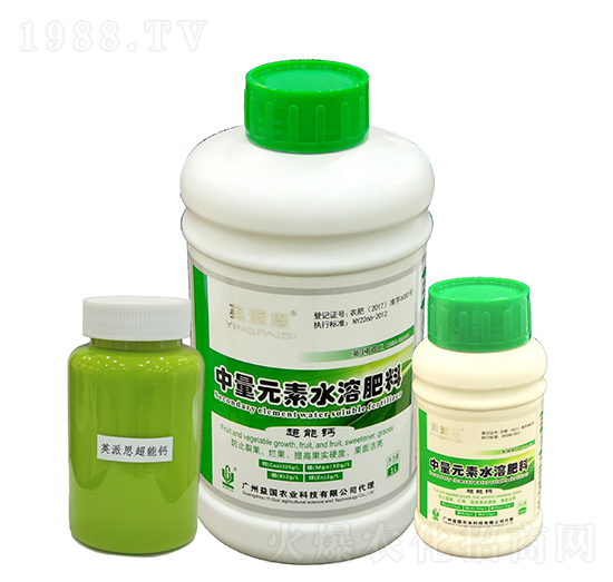 Ӣ��˼�������} ����r(n��ng)�I(y��)