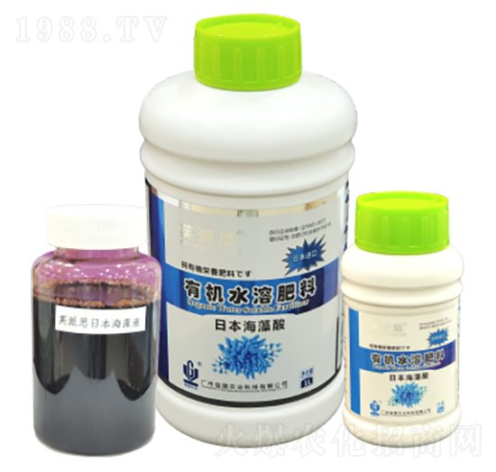 Ӣ��˼���ձ������� ����r(n��ng)�I(y��)