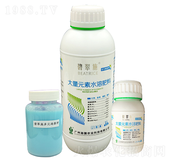 �̴�ʩ����Ԫ����� ���(gu��)�r(n��ng)�I(y��)