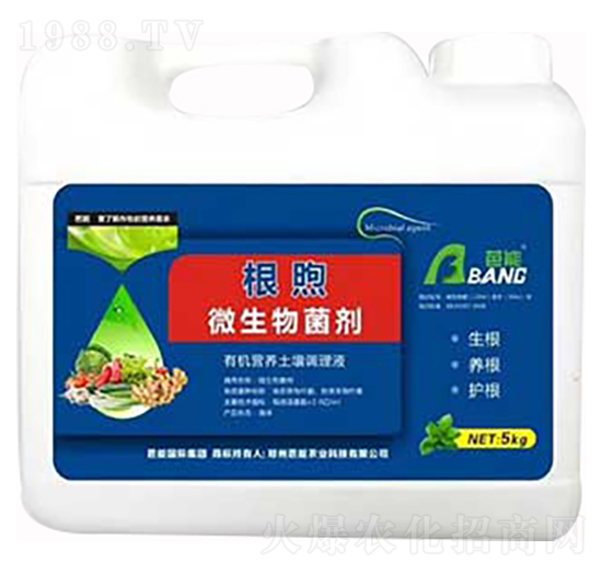 ΢������� ���� ����