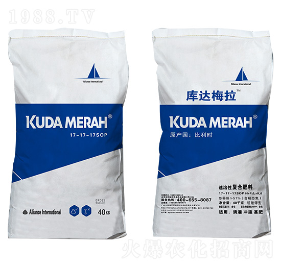 �M�������ԏͺϷ���17-17-17SOP ���_÷��