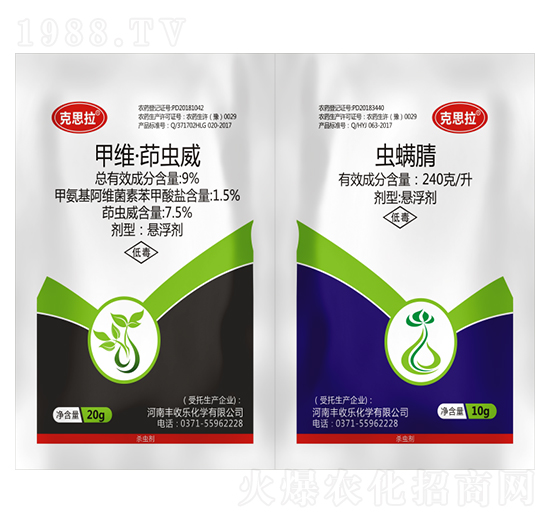 �������x���팣��-��˼��-�S�՘�