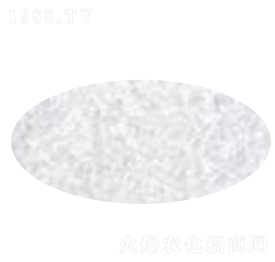 �����V-����ʘI(y��)