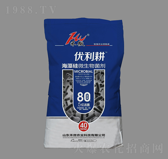 �����΢���������5�|�����-��(y��u)����-��΢