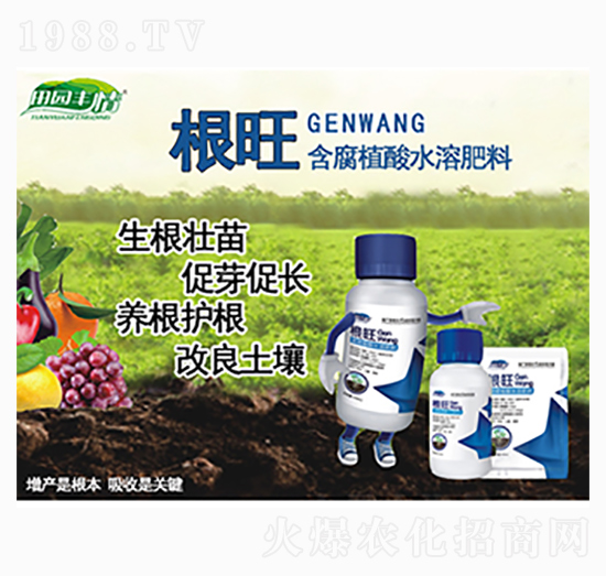 ����ֲ��ˮ�ܷ���-����-ͨ������