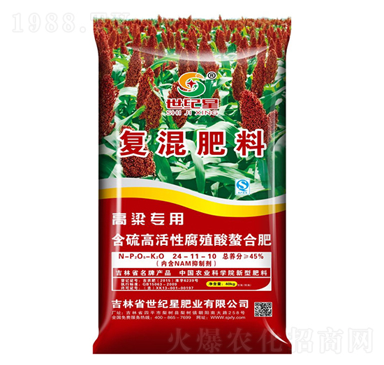 �������Ïͻ����24-11-10-���o��