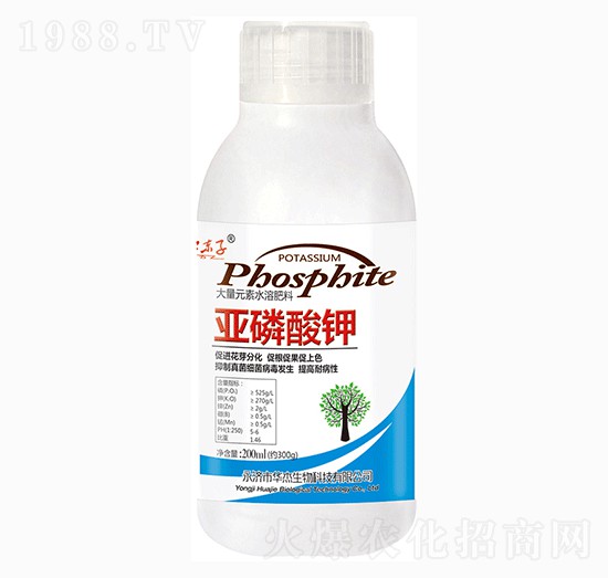 200ml�������-�A������