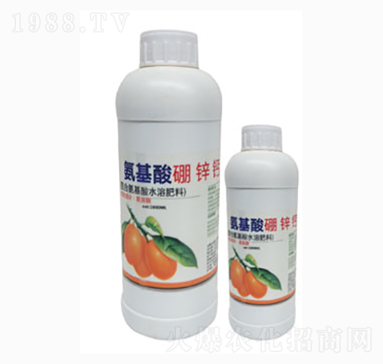 ƿ�b���������\�}-��ؾG