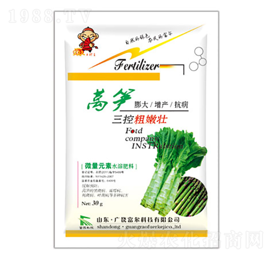 �n�S���ش��ۉ�-�����Ƽ�