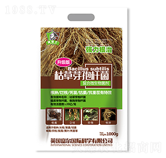 �ݲ�ѿ�ߗU���������棩-�����Ƽ�