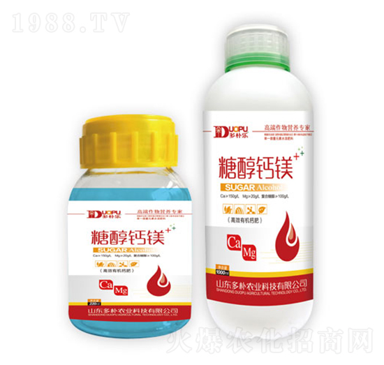 �Ǵ��}�V-�����Ƽ�