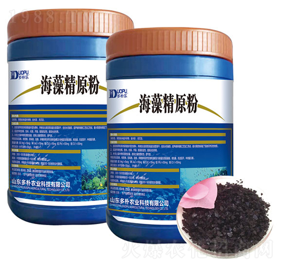 ���徫ԭ��-�����Ƽ�