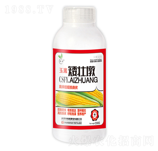 ���װ��Ѷ�-��˲