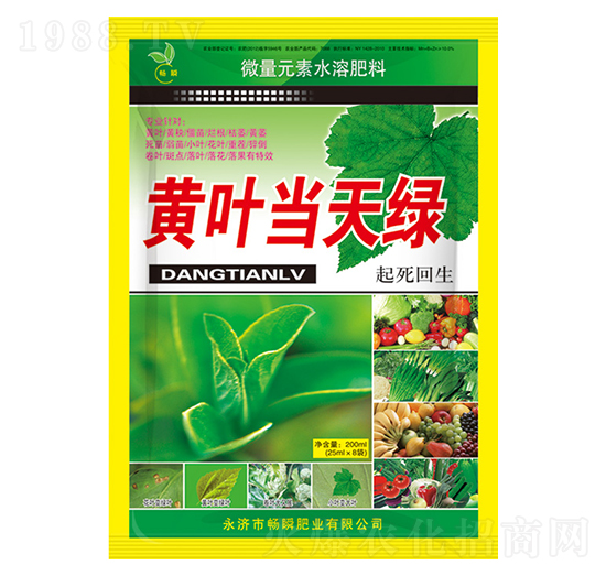 黃葉當(dāng)天綠-暢瞬