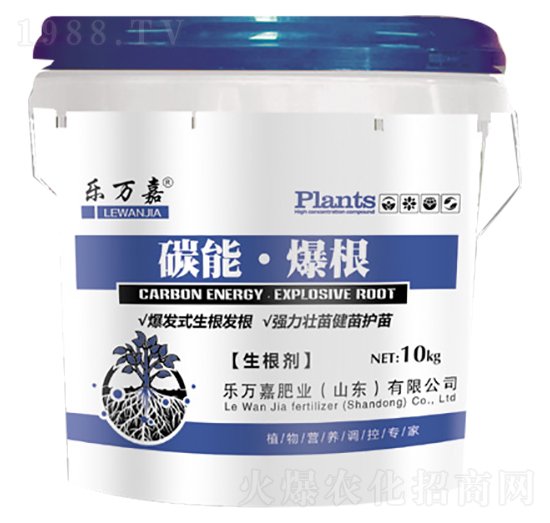 ������-̼�ܡ�����-���f��