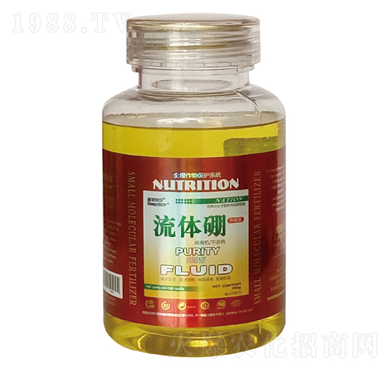 ���w��-��������