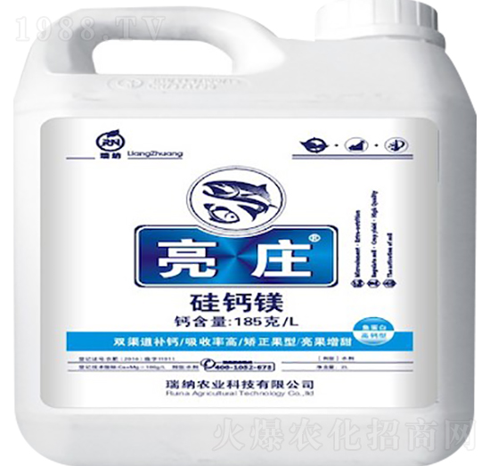 ���}�V���أ�-���f-��{