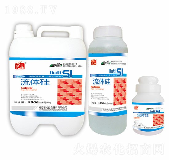 ���w��-�������r