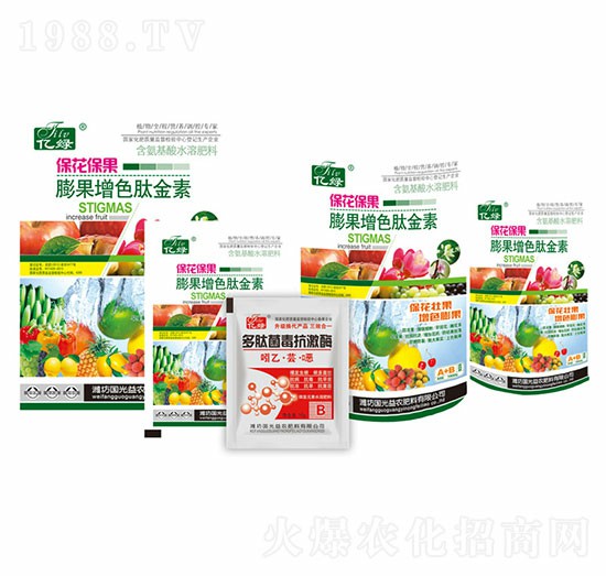 ����������L��ɫ��-�������r(n��ng)