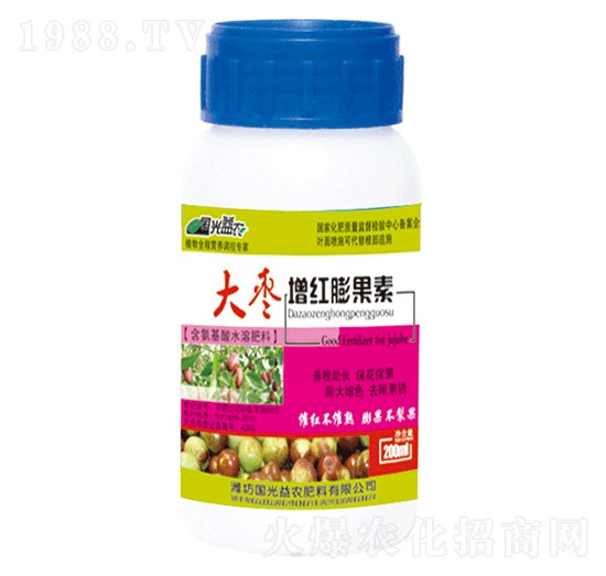 �����t�����-�������r